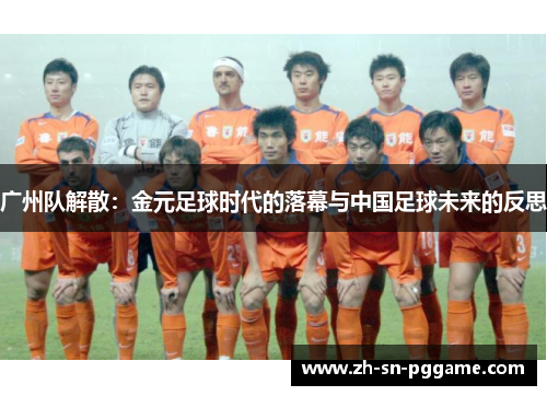 广州队解散：金元足球时代的落幕与中国足球未来的反思