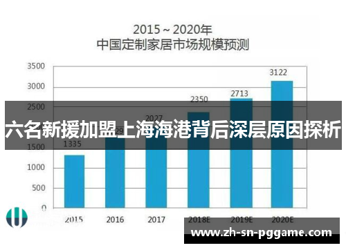 六名新援加盟上海海港背后深层原因探析