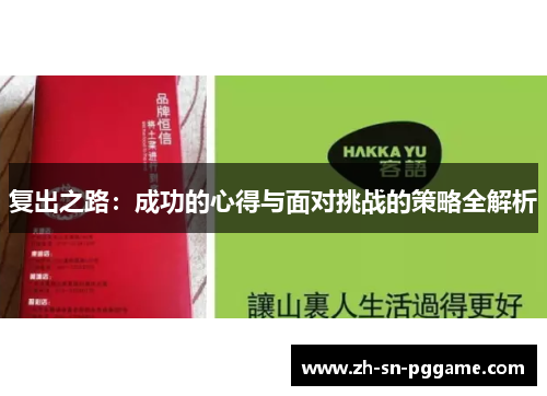 复出之路：成功的心得与面对挑战的策略全解析
