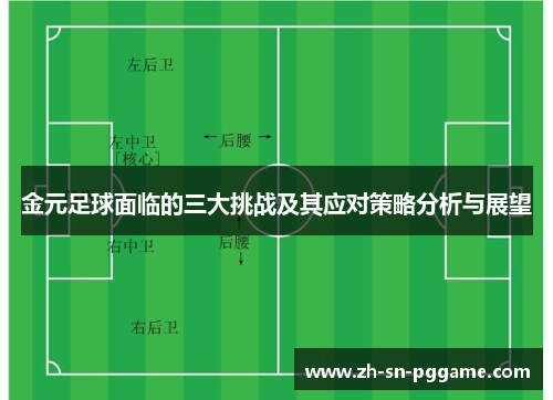 金元足球面临的三大挑战及其应对策略分析与展望