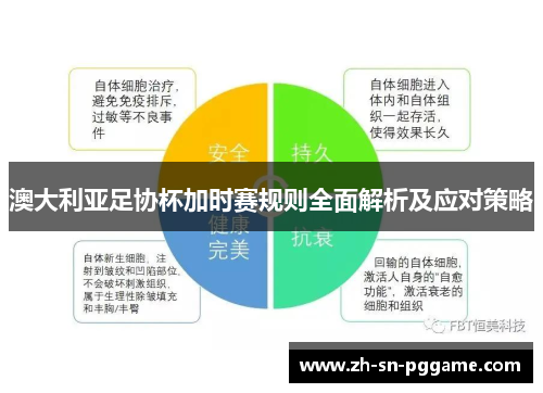 澳大利亚足协杯加时赛规则全面解析及应对策略
