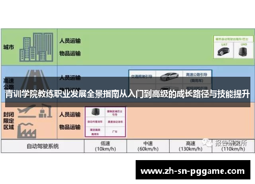 青训学院教练职业发展全景指南从入门到高级的成长路径与技能提升