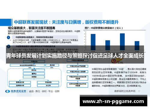 青年球员发展计划实施路径与策略探讨促进足球人才全面成长