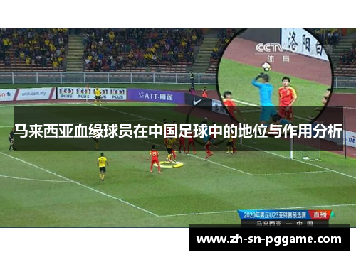 马来西亚血缘球员在中国足球中的地位与作用分析 马来西亚血缘球员在中国足球中的地位与作用分析