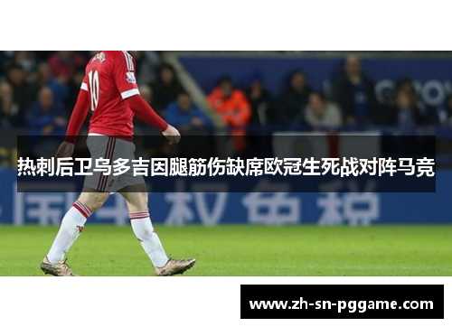 热刺后卫乌多吉因腿筋伤缺席欧冠生死战对阵马竞