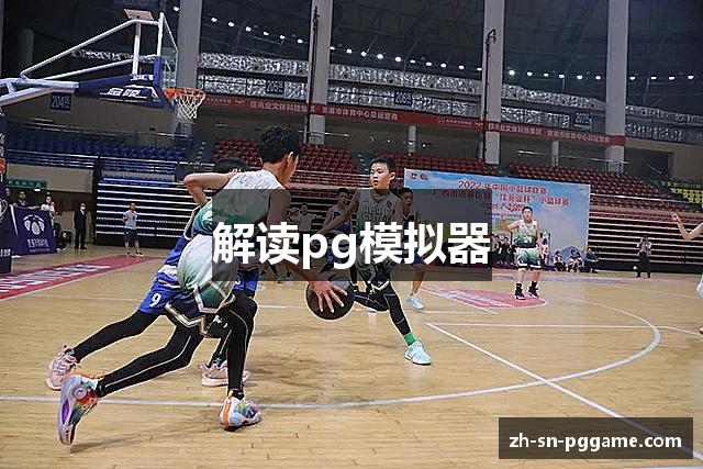 解读pg模拟器